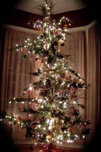 cheap-christmas-tree-3