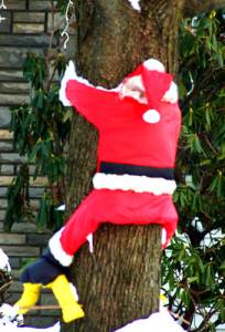 A good reason why you shouldn't leave any alcohol for Santa. But many people do, especially in Ireland.