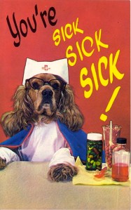 Somehow I'm not sure if putting a dog near medicines is a good idea.