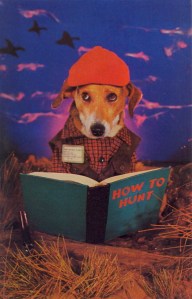 You may have thought hunting is a skill which should come naturally to dogs. Still, it doesn't answer how this dog learned to read.