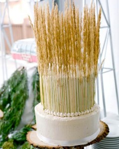 Of course, the wheat on this cake is so tall that I can't see the rest of it. Also, kind of resembles a do-it-yourself fertility goddess headdress or something.
