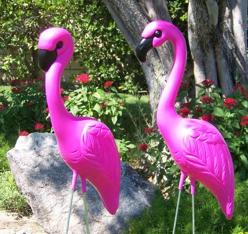 1281225292_111278340_1-Pictures-of--Pink-Flamingo-Lawn-Ornaments-1281225292