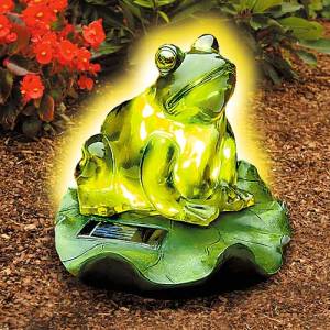 Now if I saw a real frog glowing in the dark in my yard, I'd freak out like you wouldn't believe. Seriously frogs don't glow in the dark.
