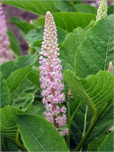 5456229032_00af572ce6_z