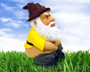 Of course, gnomes don't use toilets so it's not unlike them to squat down, take their pants down, and answer the call of nature right on the spot.