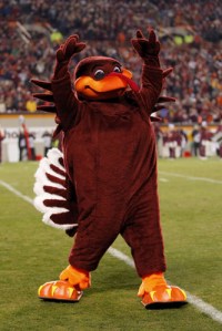 Let's face it, Virginia Tech, Hokie Bird is a turkey which aren't known to be fearsome creatures (at least the domestic "other white meat" variety). Still, you have to admit that Hokie Bird does live up to his name. I mean a turkey mascot is kind of hokey isn't it?
