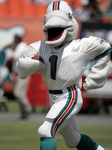 You may not know it but dolphins are pretty aggressive creatures with some species known to kill for fun despite their cuteness. Yet, put one in a Miami Dolphins uniform and introduce it as your mascot, it doesn't seem very intimidating at all.