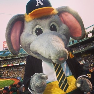 Now he may appear as a reasonably intimidating elephant on the Oakland A's logo. Yet, he practically seems more suited for a kid's program in person and that's no small peanuts here.