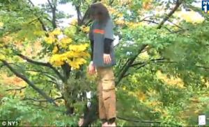 Because an image like this can cause a lot of unpleasant feelings for people who may be anti-death penalty, know people who've tried killing themselves this way, actually have attempted suicide this way, or are African American. If they are the last part, then be warned that such displays may remind them of that old kind of racist hate crime used on them during the Jim Crow era. So don't do this.