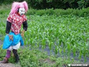 Actually, this would make a good scarecrow of Lady Gaga. Still, this will certainly scare crows if you know what I mean.