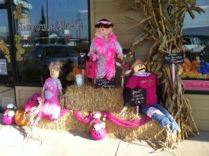 Sure it may seem childish or a little girl's dream but it's for a good cause nonetheless. And breast cancer is a very nasty disease that does kill people.