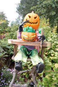 Now that is one creepy little scarecrow. Imagine what he'll become when he gets older. Also, what's that in his bowl?