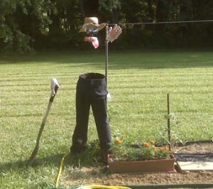 I'm sure the crows would be more frightened by an invisible scarecrow than a visible one. Still, it's pretty clever if I do say so myself.