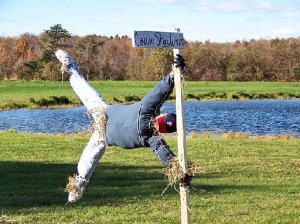 Then again, straw is a fairly light material. Still, I think this scarecrow display is quite funny as he's hanging from a pole.