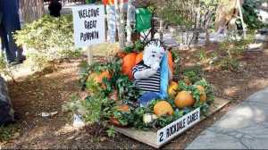 Of course, we all should know that Linus tends to waste his Halloween waiting for the Great Pumpkin every year. Let's face it, the Great Pumpkin never comes.