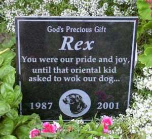 Then again, Rex's life dates indicate that he was 14 years old. Let's just say, if that Asian kid didn't ask to wok him, then it's very possible that the vet would've put him to sleep.