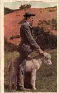 Let's just hope it's just some idiot who wants to ride one. Seriously, I have a bad feeling about this postcard, which suggests something depraved.