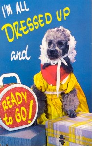 I'm sure this dog is now shirking in embarrassment for having to pose for this postcard in this idiotic outfit. I mean, people won't even dress their kids up this way, let alone a dog. Also, dogs have fur so they don't need clothes.