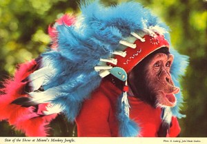 Let's just hope this little ape isn't a mascot for some college sports team with an Indian mascot. Still, at least it's not in African dress, which would've been more offensive.