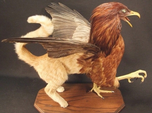 Yes, there are specimens that fit in the category of rogue taxidermy. Now this griffin was created from a house cat and a bird of prey, but it's still rather realistic looking. Of course, in mythology, griffins are much bigger.