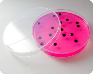 This one is a soap of salmonella, you know the food disease you get from eating uncooked eggs. Yeah, that's the one all right.