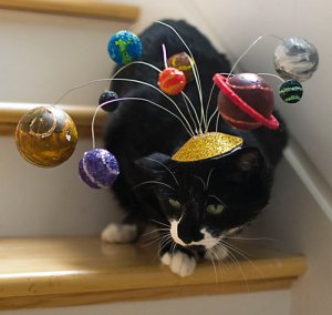 I'm sure this cat seems board of its mind as well as embarrassed to have its picture taken with this solar system hat on its head. Nice try, Sheldon Cooper.