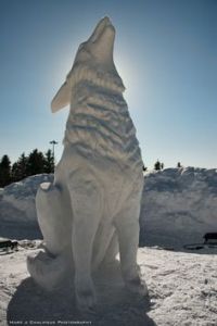 Then again, this sculpture certainly looks like a wolf down to its very detail. I wonder how that's even possible.