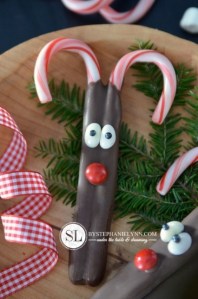 I'm sure reindeer don't have red and white striped antlers. But still, very easy to make and I'm sure the kids will love it.