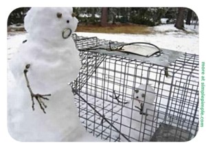 Now this is either hilarious, demented, or both. Still, I have to feel bad for the little snow kid in the cage and its parent in a state of distress.