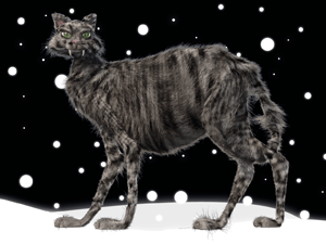 Iceland has a Yule Cat who's not very nice and is said to devour lazy children without clothes for Christmas. You can see why Icelanders work so hard.