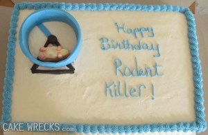 Then again, the dead hamster on its wheel kind of suggests that it wasn't ordered by a person who had much esteem for the guest of honor. In fact, he or she is probably someone who let the other person watch their pet hamster who died while he or she was on vacation. Still, it's possible that the hamster probably was 2-4 years old and died of natural causes.