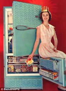 Now I'm fine with turquoise but this fridge seems more appropriate for the kitchen of some tacky trailer park than in most households. Yet, I'm sure this woman isn't the Snow Queen from Frozen.