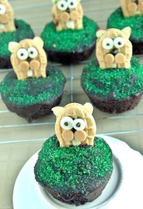 Of course, the chocolate icing is already sprinkled with green sugar that would've been better put to use on Saint Patrick's Day. Still, I'm sure they're cute enough for kids to love.