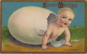 And this is why we need biology class as well as sex education in schools. Seriously, mammals are placental animals that don't lay eggs.