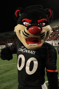 Now my college mascot was a bearcat but basically looked like a cougar. However, this is actually supposed to resemble a bearcat which is an animal from Southeast Asia that is neither bear nor cat. Not to mention, isn't even intimidating. Seriously, Cinci should just pick something that lives in Ohio as their mascot like a coyote.