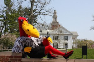 Sure he's a buzzard but he doesn't seem at all intimidating as the possible Native American mascot he replaced. But he loves to lounge around. Also, he seems to resemble a crane than a buzzard or an alien from outer space.