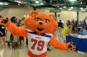 Sammy had always aspired to be the mascot of Doritos since he had the orange fur nailed flat. But after being rejected by Frito Lay for drug use, decided to be a mascot for SHSU instead.
