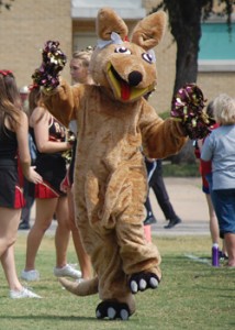 For one, kangaroos live in Australia and don't frequent Austin City Limits. Second, this one seems like a freaky dope on acid or something. I mean it just seems like something's not right. Third, it has a pouch but I'm not sure if it's male or female because so many guy kangaroos have been depicted with them.