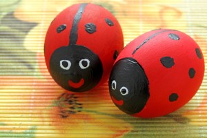 Now these are so adorable and quite concurrent with spring. Of course, some lady bugs are male, by the way.