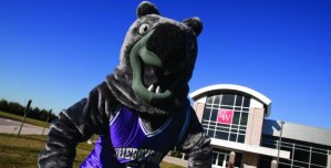 I guess the reason why UWS has the Wombat mascot is that nobody else had one. However, wombats are Australian marsupials who aren't known for being badass. Also, that doesn't even look like a wombat.