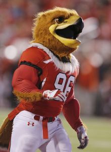 I know he's supposed to replace the previous Native American mascot who was drummed out for various reasons. Still, I can't tell whether Swoop is supposed to be a hawk or a vulture. Either way, he'll sure love the taste of human flesh which has resulted in many disappearances at Ute games.