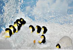 Of course, we all know that penguins don't live in igloos or use fishing rods. Those props were just for giggles.