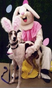 Either way, I really don't want to know. Someone please call animal control and remove this creepy rabbit from the premises.