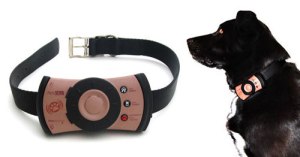 To be fair, this would be great for your dog if you live in a really bad neighborhood or next to Cruella DeVil. I mean it's a way to call your pet while you're away from home. Imagine all the one sided conversations you two will have.