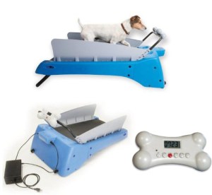 If you want to exercise your dog but have things to do, why don't you just hire a dog walker? I'm sure your dog will enjoy it much more than this gadget. 