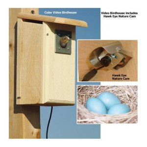 Sure this product has nothing to do with pets, but still, I can just as easily watch birds in a nest in my backyard if I want to. I'm not a nature cinematographer so why would I need a bird house equipped with a surveillance camera?