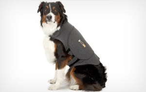 Basically this is meant to control your pet's anxiety, by basically crushing them until they stop whining. Well, if you buy one of those, you're basically too lazy for a pet anyway.