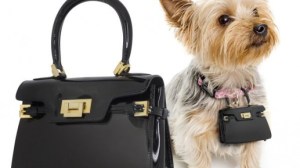 Yes, I'm sure your dog has a deep burning desire to imitate Kim Kardashian. Of course, why your pooch would need a fancy schmancy Park Avenue purse is beyond me.