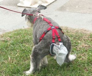 This is supposed to transfer the responsibility of cleanup from the owner to the dog. Of course, it also subjects the dog to walks of humiliation with no way to recapture its dignity. Seriously, I can't imagine what happens if the bag breaks.