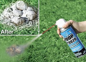 After your dog poops, just spray it with this stuff before picking it up. Of course, what's even more fun than Poop Freeze? Basically having your dog poop in the yard and doing nothing about it. 